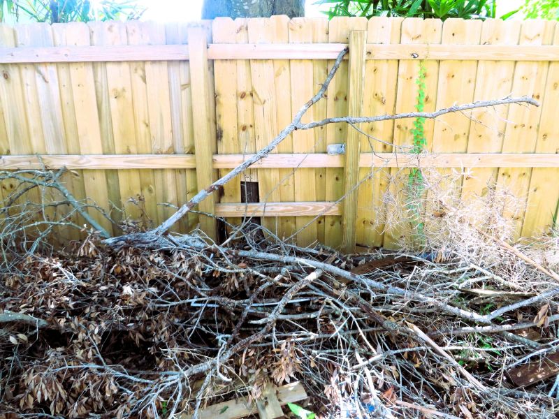 Wood Chipping Service detail